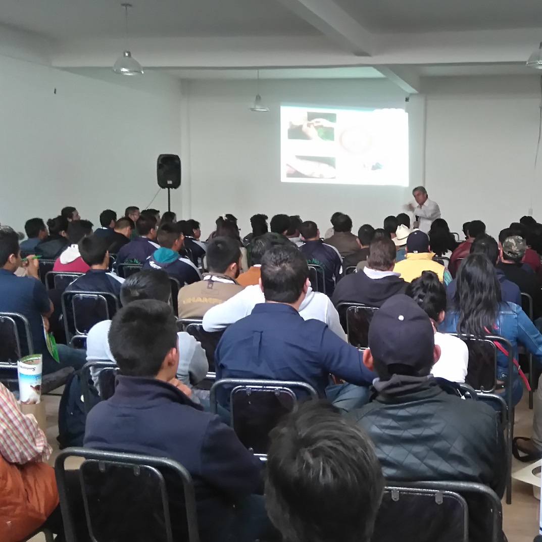 Conferencias