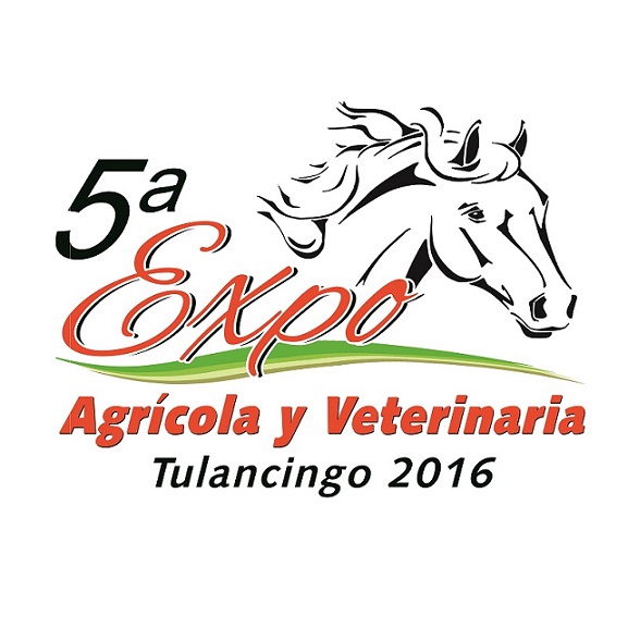 5ta Expo Tulancingo 2016